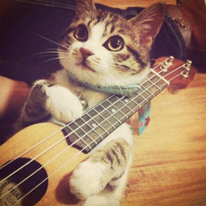 Z〇Z〇女人另类Z〇Z〇豆奶
